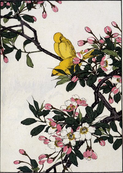 咲いた桜の枝に乗ったセリーヌ - 日本の版画 作： Japanese School