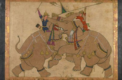 象の戦闘（インク、厚紙にマウントされた紙の顔料） 作： School Mughal