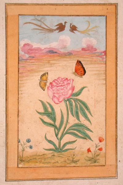 極楽鳥と蝶のいる草花（小クライヴアルバムより）（羊皮紙にガッシュ 作： School Mughal