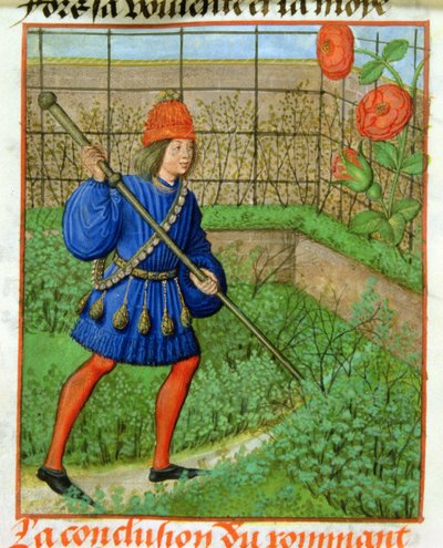 Harl 4425 f.184v 恋人は薔薇に手を伸ばす、「Roman de la Rose」、ブルージュ、c.1490-1500 (ベラム) 作： School Netherlandish