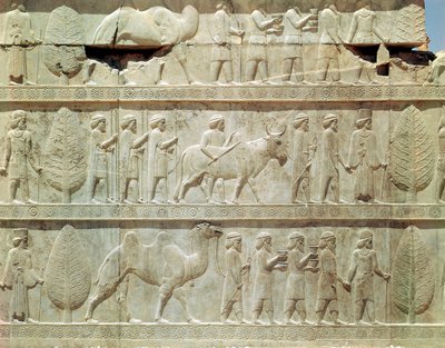 アパダナ（謁見の間）への東階段の浮き彫りフリーズの詳細（アケメネス朝時代、前515年頃）。 作： School Persian