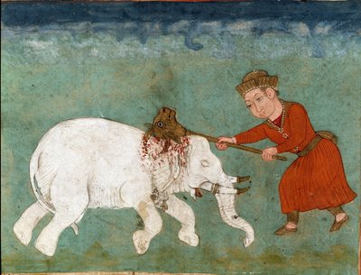 イスラム美術。ロスタム（またはルスタム）神話の英雄でザールの息子が白象を殺す。フェルダウシ（Ferdawsi, or Firdousi, ca. 940-around）の叙事詩「シャーナメ」（Shah Nama, Shahnama）（王の書）の写本に描かれたペルシャの細密画。 作： School Persian