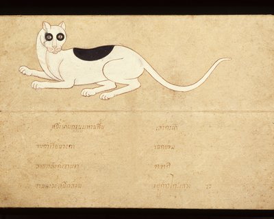 シャム猫に関する写本の葉、20世紀初頭（紙に水彩画） 作： School Thai
