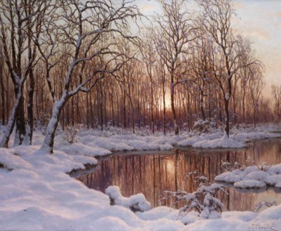 11月 作： Schultze