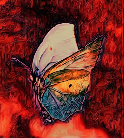 バタフライ, 2021 作： Scott J. Davis