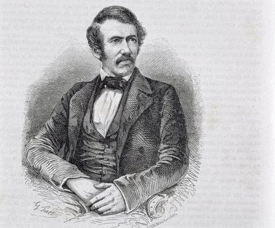 デヴィッドリビングストーン（1813-1873）は、S。パンネメーカーによって彫刻されました 作： Scottish School