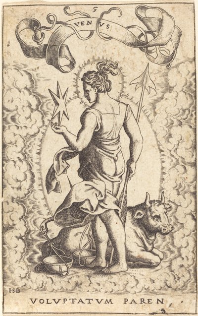 金星 作： Sebald Beham