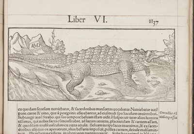 Cosmographia、Fol 1137、1544 作： Sebastian Munster