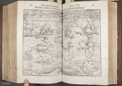 Cosmographia、Fol 852-853、1544 作： Sebastian Munster