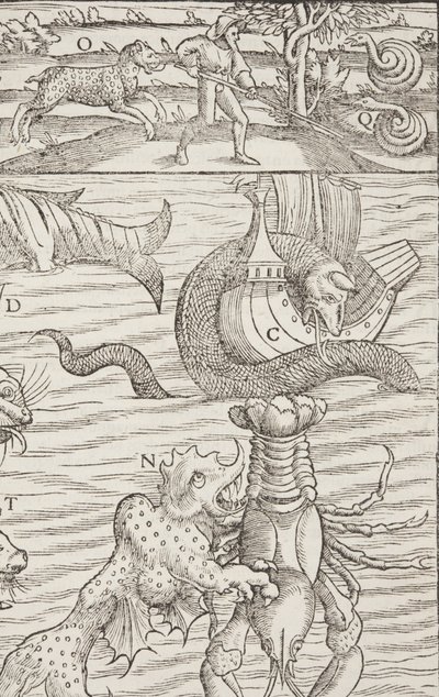 Cosmographia、Fol 853、1544 作： Sebastian Munster