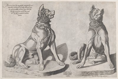 ローマの素晴らしさの鏡：2匹の犬、1558年、1558年。 作： Sebastiano di Re