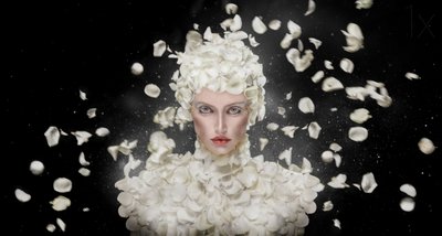 幻想的な花びらの女 作： See Plus