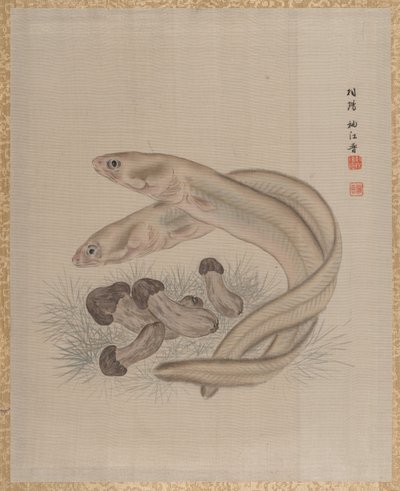 ウナギ、カリフォルニア州。 1890-92。 作： Seki Shuko
