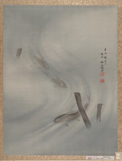 泳ぐ魚、夏、1891年。 作： Seki Shuko