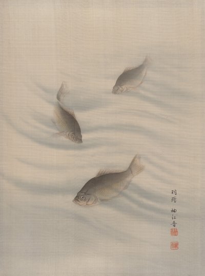 魚の水泳、カリフォルニア州。 1890-92。 作： Seki Shuko