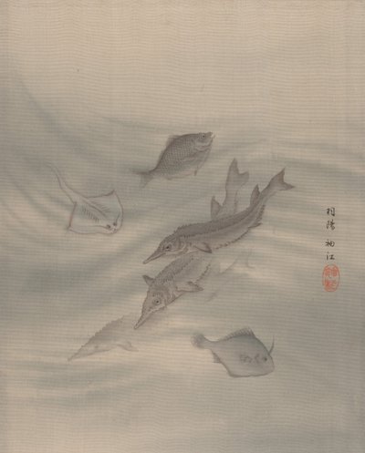 魚、カリフォルニア州。 1890-92。 作： Seki Shuko