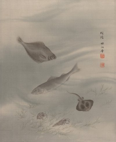 魚、カリフォルニア州。 1890-92。 作： Seki Shuko