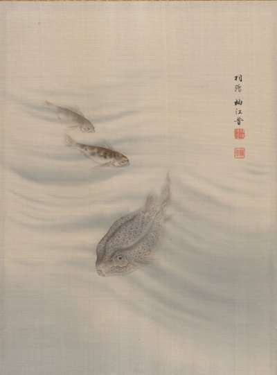 魚、カリフォルニア州。 1890-92。 作： Seki Shuko