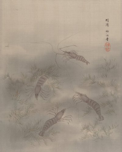 エビAB、Ka。 1890–92。 作： Seki Shuko