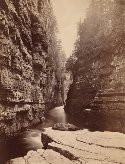 Ausable Chasm - テーブルロックから川を上る 作： Seneca Ray Stoddard