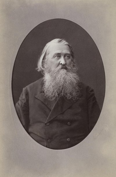 詩人アレクセイ・ニコラエビッチ・プレシェイエフの肖像1825-1893、1870 作： Sergei Lvovich Levitsky
