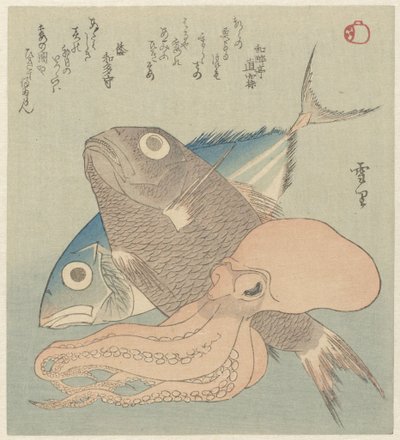 マグロ、コイ、イカの静物 作： Setsuri