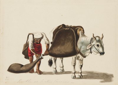 ウォーターキャリア、c1810 作： Sewak Ram