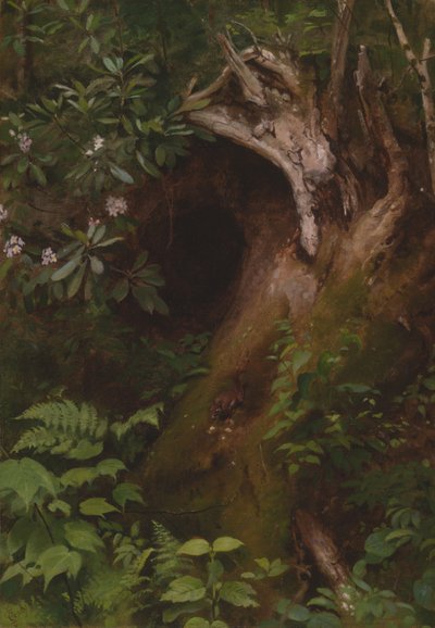 リス 作： Seymour Joseph Guy