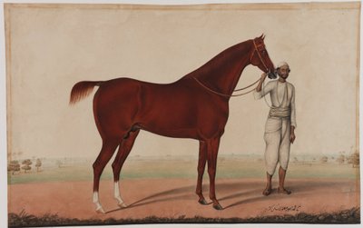 馬と花婿、1840年頃 作： Shaik Muhammad Amir of Karraya