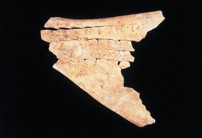 危険を回避する儀式を行っている牛の肩甲骨のピクトグラム（骨 作： Shang Dynasty Chinese School