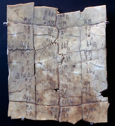 亀の甲羅に描かれたピクトグラムと占いの文字（亀の甲羅 作： Shang Dynasty Chinese School