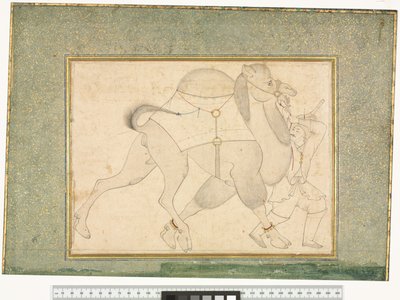 ラクダと花婿、c.1545-76 作： Shaykh Muhammad