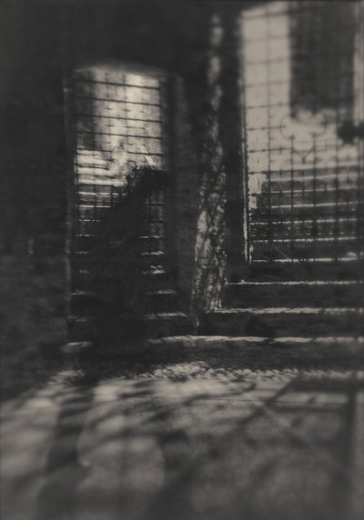  作： Sheila Bernard