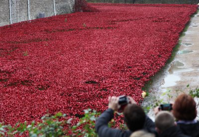 Blood Swept Lands and Seas of Red、ロンドン塔、2014年。 作： Sheldon Marshall