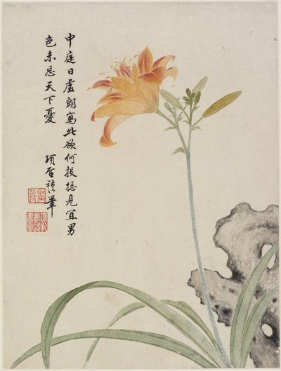10枚の葉のフラワーアルバムからのデイリリー、1656年（紙にインクと色） 作： Shengmo Xiang