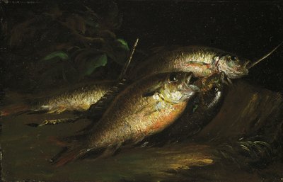 魚 作： Shepard Alonzo Mount