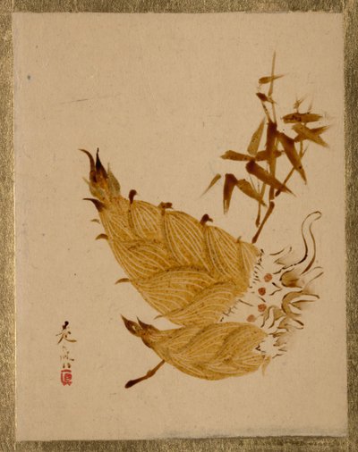 タケノコ、ca。 1880年代。 作： Shibata Zeshin