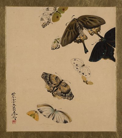 さまざまな主題の漆の絵画：蝶、1881年 作： Shibata Zeshin