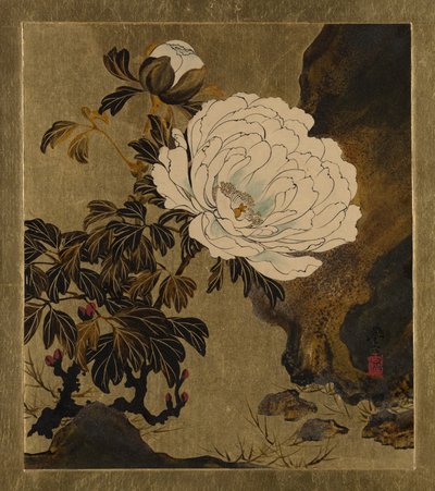 さまざまな主題の漆の絵画：牡丹、1882年。 作： Shibata Zeshin