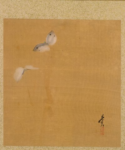 ゼシン ゼシン 画帖 蛾 作： Shibata Zeshin
