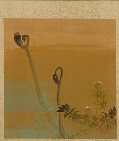 ゼシン老師画帖の新シダ 作： Shibata Zeshin