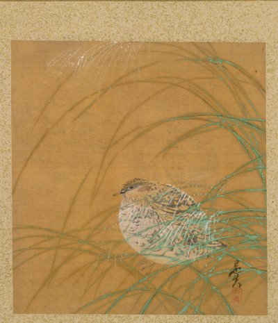ゼシン ゼシン 画帖 草中ウズラ 作： Shibata Zeshin
