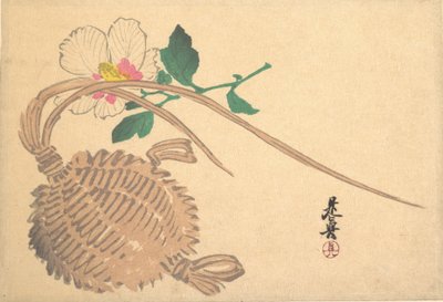 魚とモクゲの花のストローバスケット, ca. 1875年頃。 1875年。 作： Shibata Zeshin