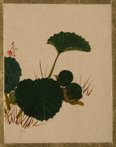 緑の葉の植物のワーム。 作： Shibata Zeshin