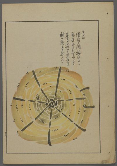 日本のおもちゃ、清水清風の海の友（A Childs Friends）、1891-1923年。ロープ風車。 作： Shimizu Seifu