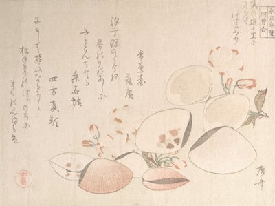 桜と貝殻, 19世紀., 19世紀. 作： Shinsai
