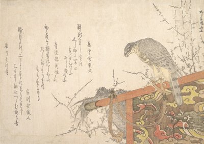 止まり木につながれた鷹。 作： Shinsai