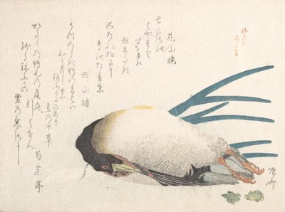 春雨集 春雨集 vol. 1: アヒルとネギ、1810 年代、1810 年代。 作： Shinsai