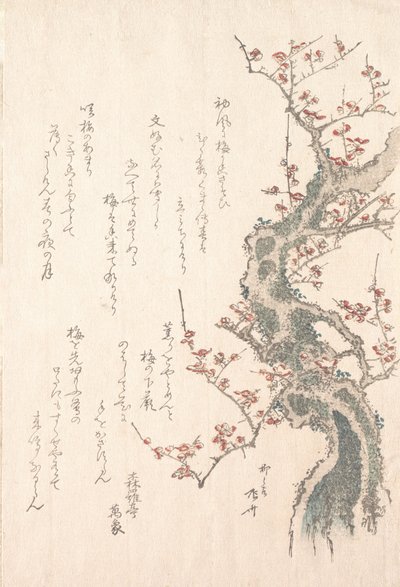 春雨集 春雨集 vol. 1: 咲き誇る梅の木、カリフォルニア州。 1805-10 年頃。 1805-10。 作： Shinsai