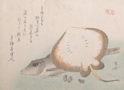 アカエイとホウボウ、おそらく1815年、おそらく1815年。 作： Shinsai